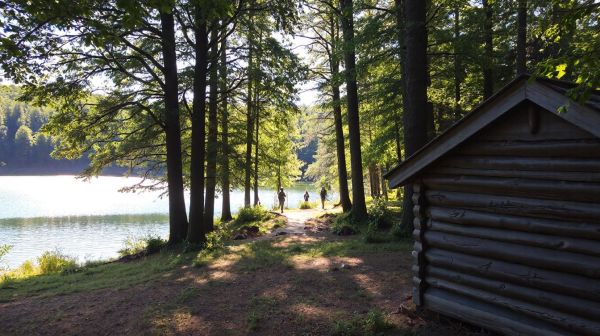 Découvrez les meilleures aventures camping à Mélisey